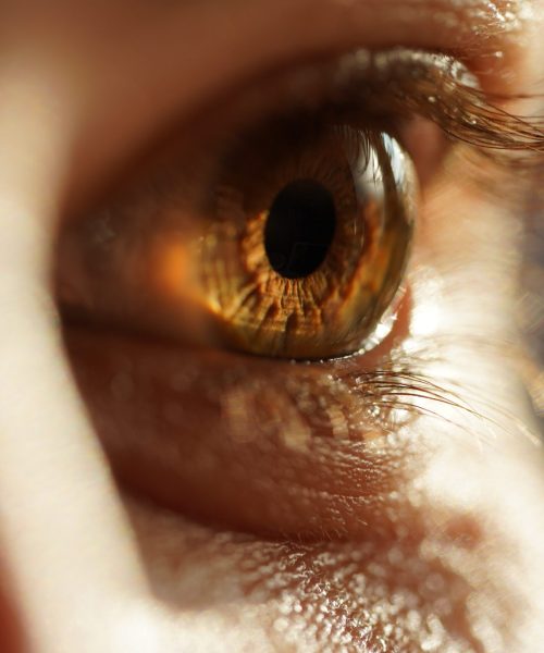 pexels-mathias-celis-2453727